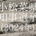 小松菜県知事選挙（2024年）