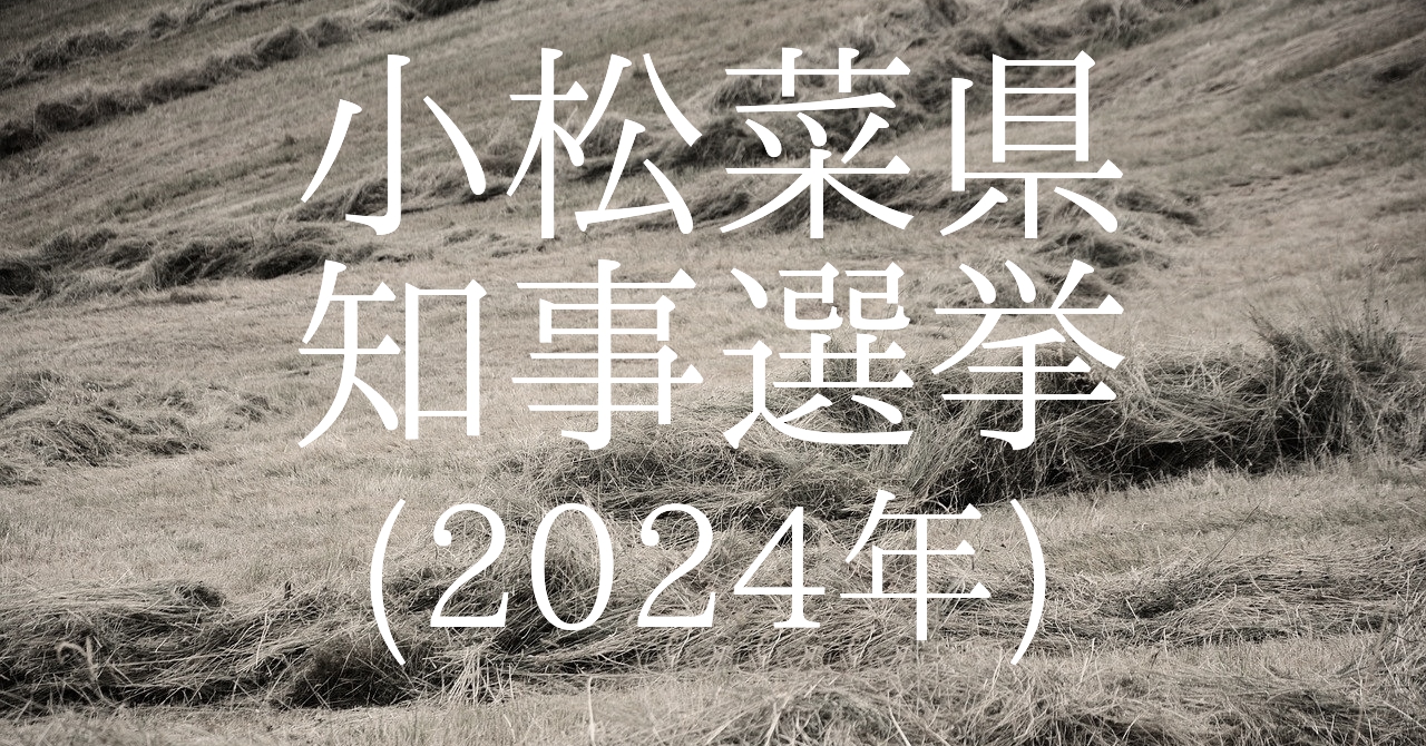 小松菜県知事選挙（2024年）