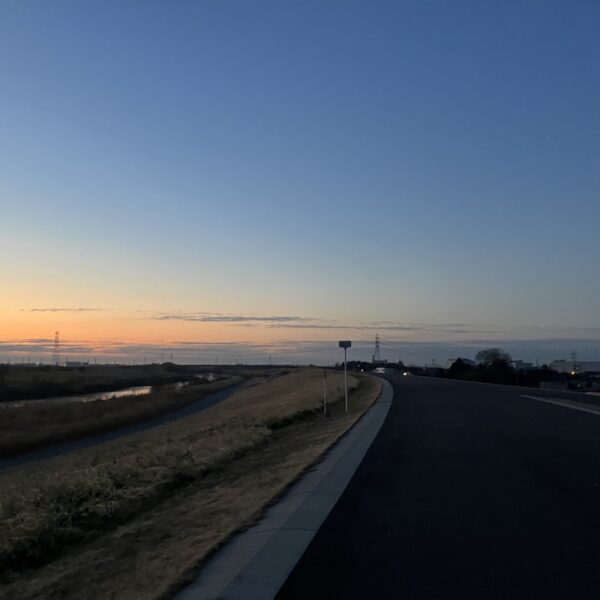 何にでもなれるわけではないけれど……