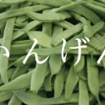 いんげん 【短編小説】