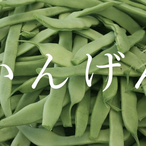 いんげん 【短編小説】