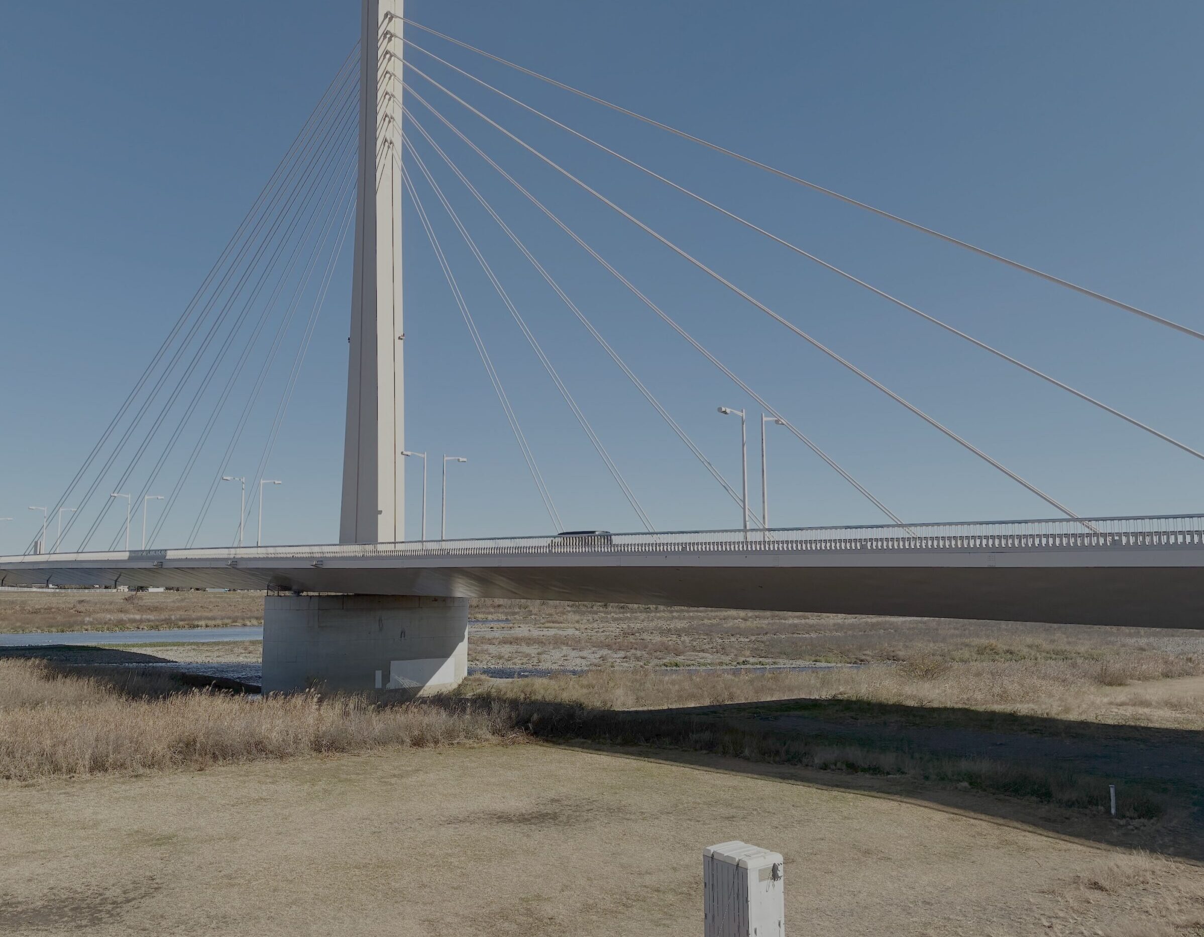 またまた引っ越し