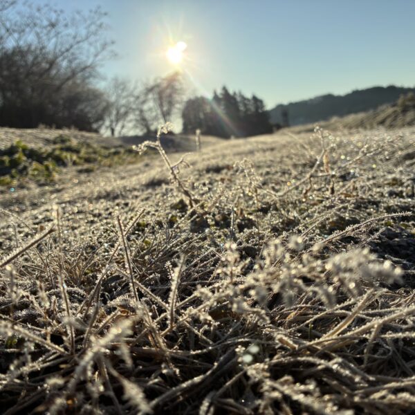 さて、ロードバイク(行き245km、帰り207km、東京・宮城間〈途中輪行あり〉)